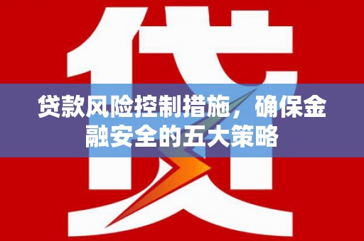中寮贷款风险控制措施，确保金融安全的五大策略