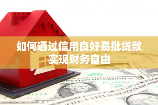 中寮如何通过信用良好易批贷款实现财务自由