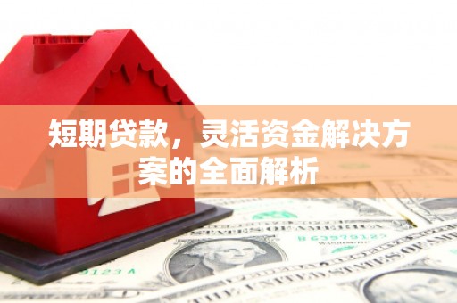 中寮短期贷款，灵活资金解决方案的全面解析