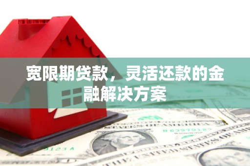 中寮宽限期贷款，灵活还款的金融解决方案