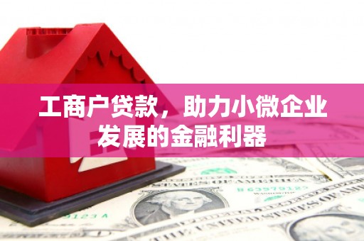 中寮工商户贷款，助力小微企业发展的金融利器