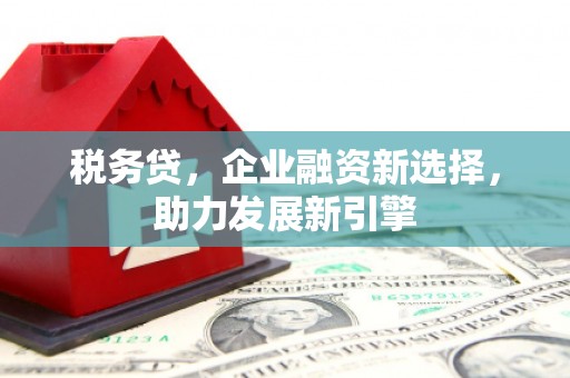 中寮税务贷，企业融资新选择，助力发展新引擎