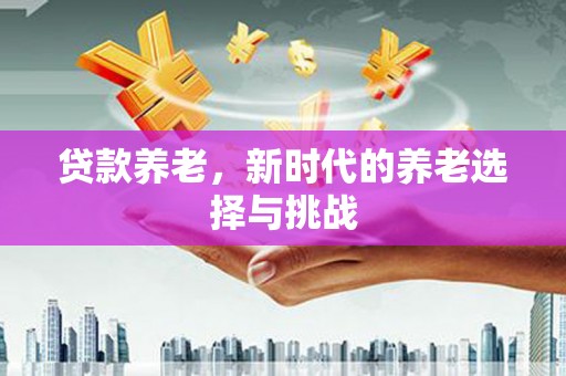 中寮贷款养老，新时代的养老选择与挑战
