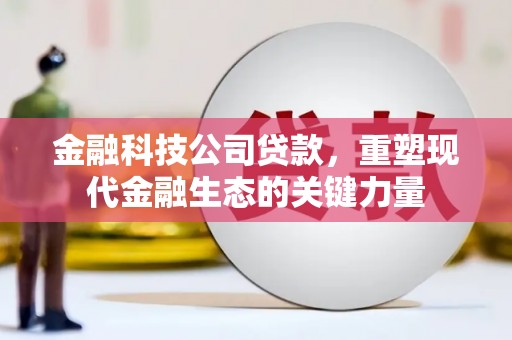 中寮金融科技公司贷款，重塑现代金融生态的关键力量
