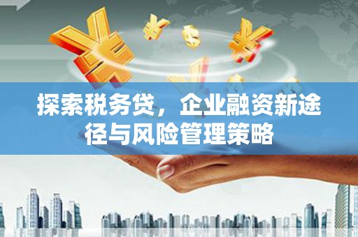 中寮探索税务贷，企业融资新途径与风险管理策略