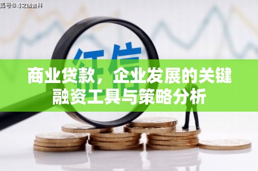 中寮商业贷款，企业发展的关键融资工具与策略分析