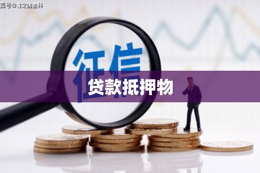中寮贷款抵押物