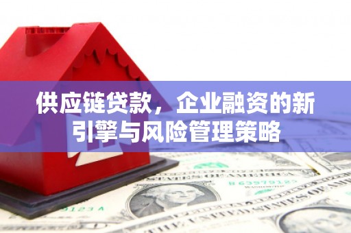 中寮供应链贷款，企业融资的新引擎与风险管理策略