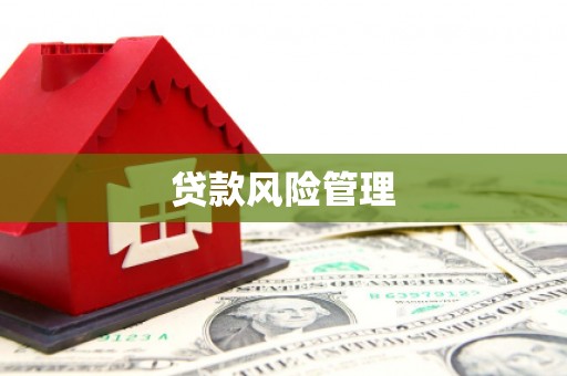 中寮贷款风险管理