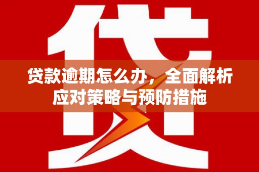 中寮贷款逾期怎么办，全面解析应对策略与预防措施