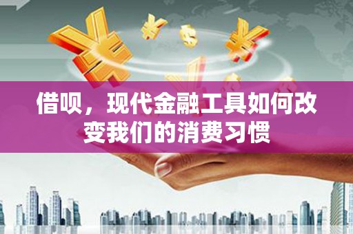 中寮借呗，现代金融工具如何改变我们的消费习惯