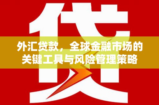 中寮外汇贷款，全球金融市场的关键工具与风险管理策略