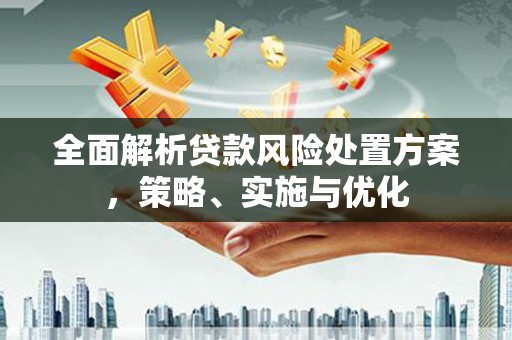 中寮全面解析贷款风险处置方案，策略、实施与优化