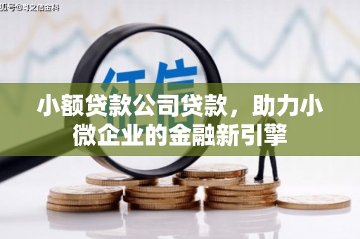 中寮小额贷款公司贷款，助力小微企业的金融新引擎
