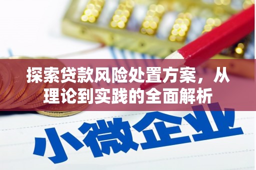 中寮探索贷款风险处置方案，从理论到实践的全面解析
