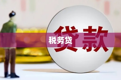 中寮税务贷