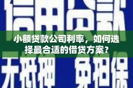 中寮小额贷款公司利率，如何选择最合适的借贷方案？