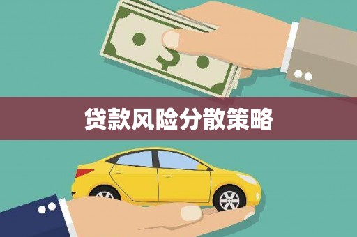 中寮贷款风险分散策略