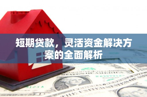 中寮短期贷款，灵活资金解决方案的全面解析