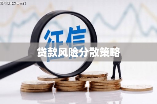 中寮贷款风险分散策略