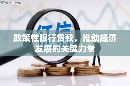 中寮政策性银行贷款，推动经济发展的关键力量
