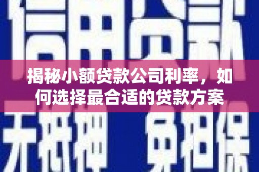 中寮揭秘小额贷款公司利率，如何选择最合适的贷款方案