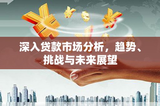 中寮深入贷款市场分析，趋势、挑战与未来展望