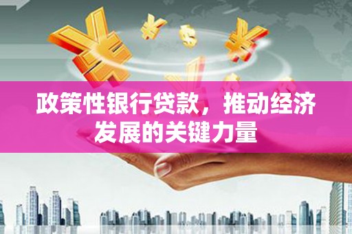 中寮政策性银行贷款，推动经济发展的关键力量