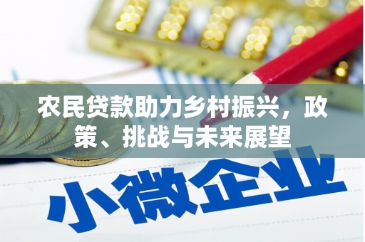 中寮农民贷款助力乡村振兴，政策、挑战与未来展望