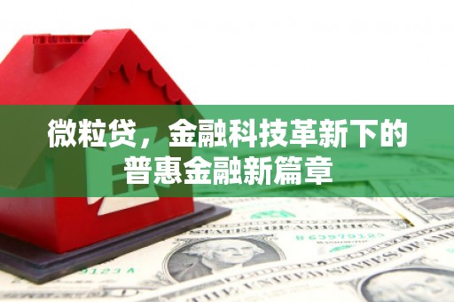 中寮微粒贷，金融科技革新下的普惠金融新篇章