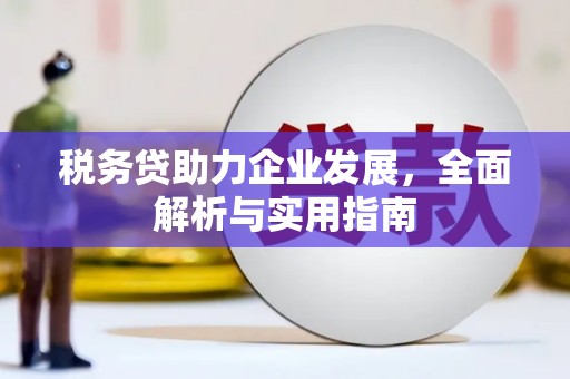 中寮税务贷助力企业发展，全面解析与实用指南
