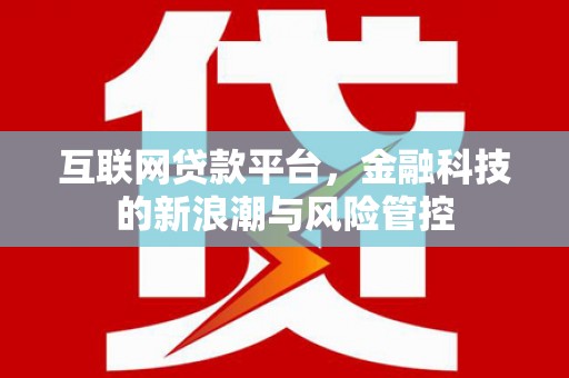 中寮互联网贷款平台，金融科技的新浪潮与风险管控