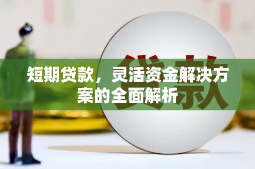 中寮短期贷款，灵活资金解决方案的全面解析