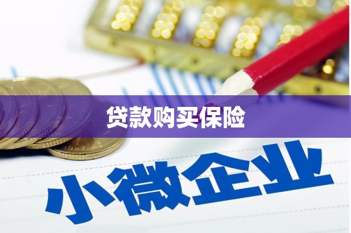 中寮贷款购买保险