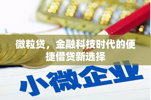 中寮微粒贷，金融科技时代的便捷借贷新选择