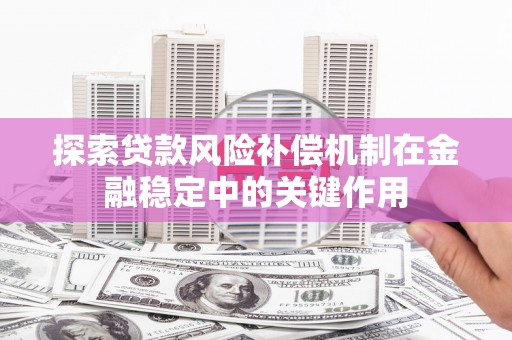 中寮探索贷款风险补偿机制在金融稳定中的关键作用