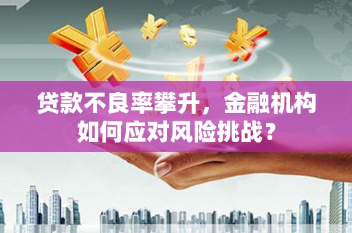 中寮贷款不良率攀升，金融机构如何应对风险挑战？