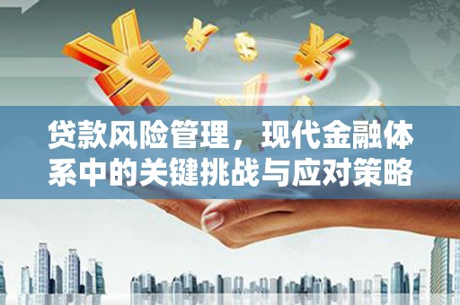 中寮贷款风险管理，现代金融体系中的关键挑战与应对策略