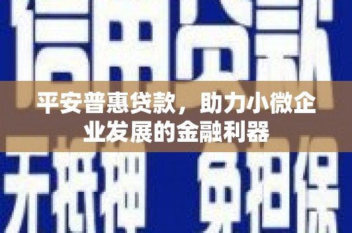 中寮平安普惠贷款，助力小微企业发展的金融利器