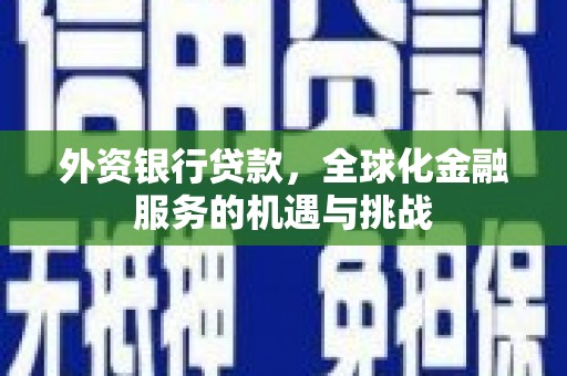 中寮外资银行贷款，全球化金融服务的机遇与挑战