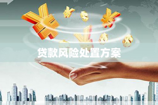 中寮贷款风险处置方案