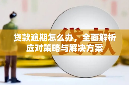 中寮贷款逾期怎么办，全面解析应对策略与解决方案