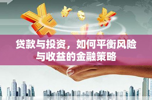 中寮贷款与投资，如何平衡风险与收益的金融策略