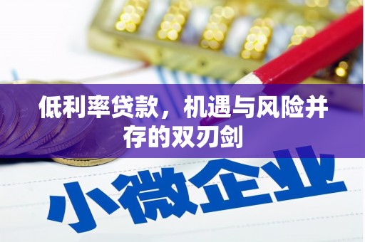 中寮低利率贷款，机遇与风险并存的双刃剑