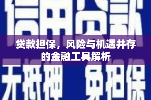 中寮贷款担保，风险与机遇并存的金融工具解析