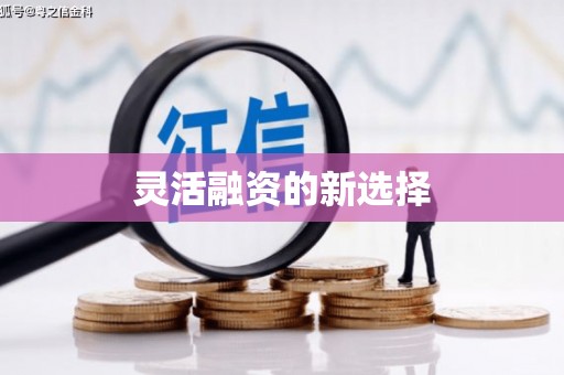 中寮灵活融资的新选择