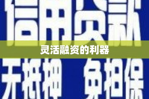 中寮灵活融资的利器