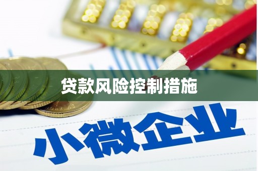 中寮贷款风险控制措施