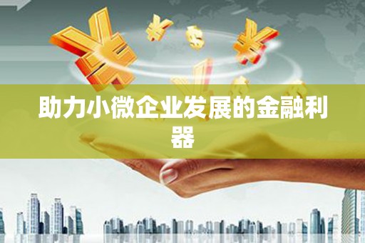 中寮助力小微企业发展的金融利器