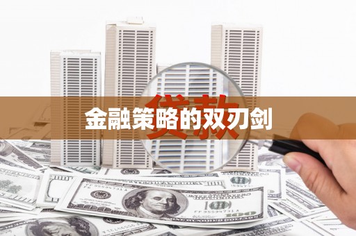 中寮金融策略的双刃剑